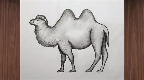 deve çizimi kolay